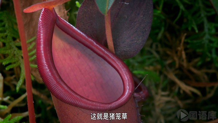 05.jpg